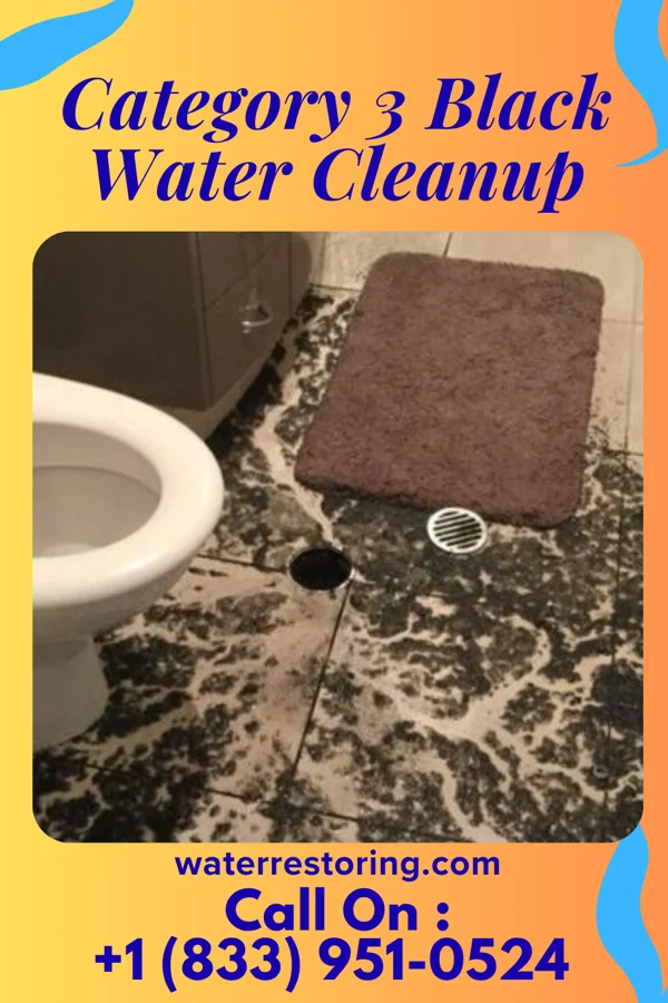 Category 3 Black Water Cleanup in Salmon Creek, WA